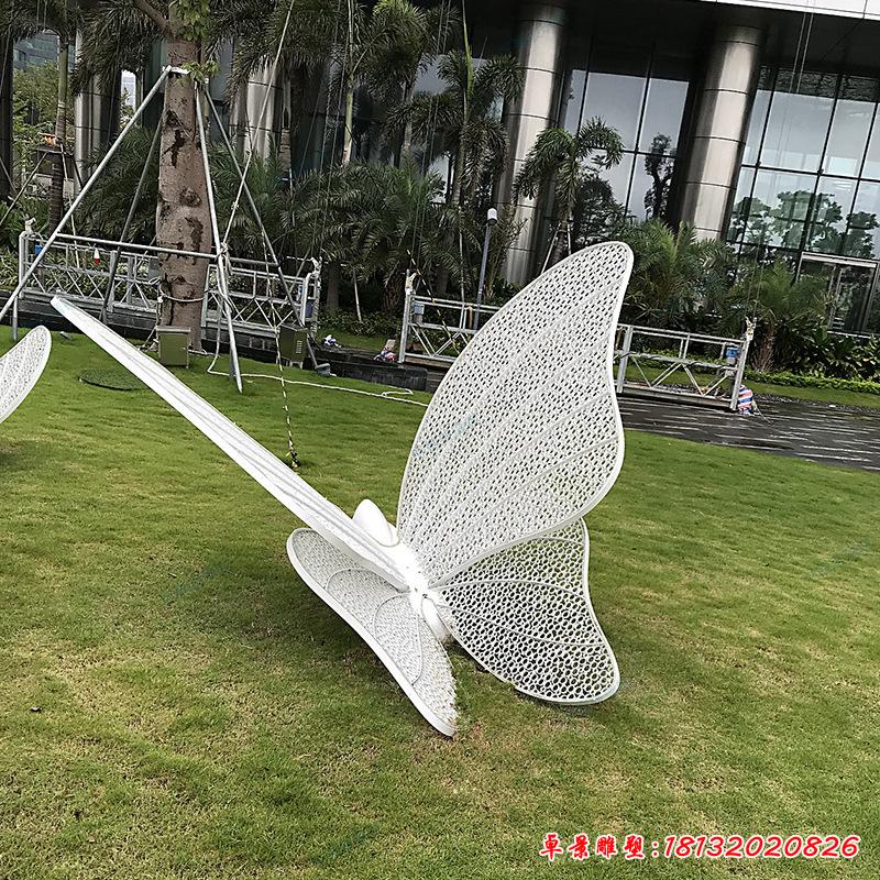 不锈钢公园艺术蝴蝶雕塑