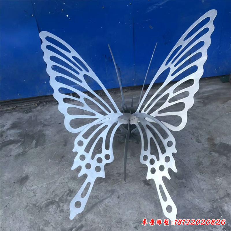 不锈钢铁艺蝴蝶雕塑 (2)