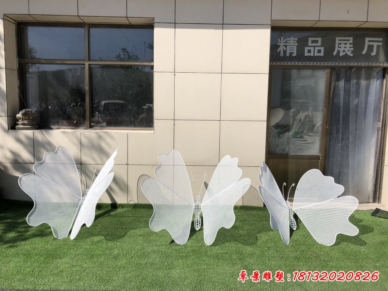不锈钢蝴蝶 (6)