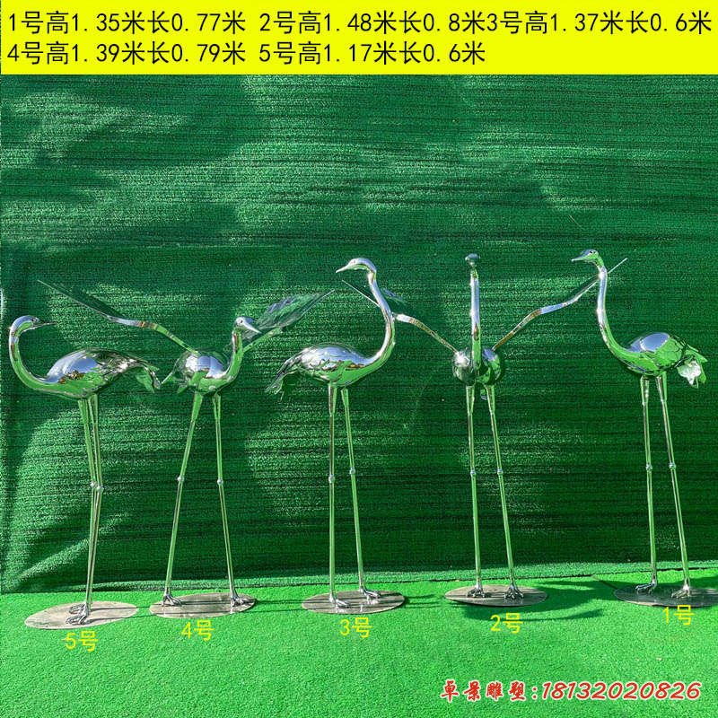公园动物仙鹤 (1)