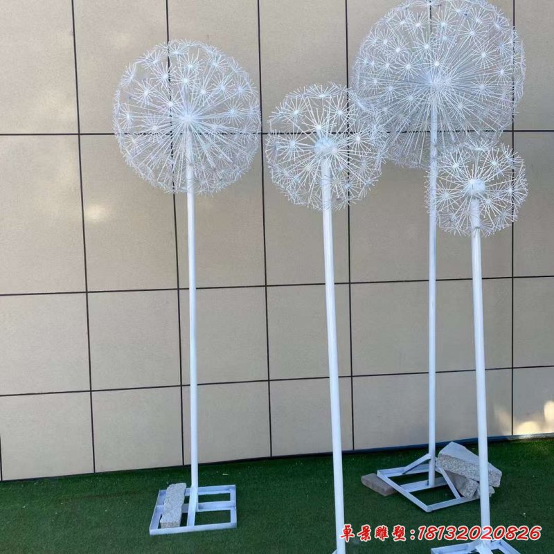 不锈钢蒲公英 (3)