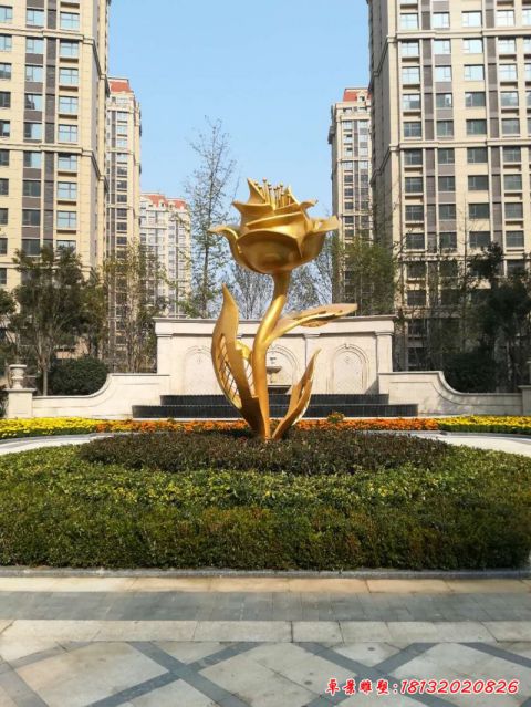 小区玫瑰花