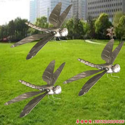 公园草坪蜻蜓