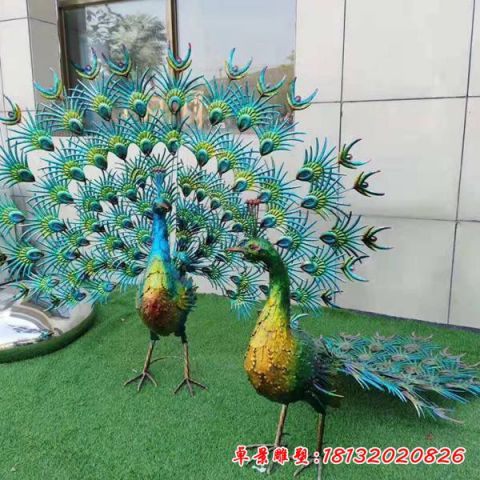 抽象孔雀开屏景观