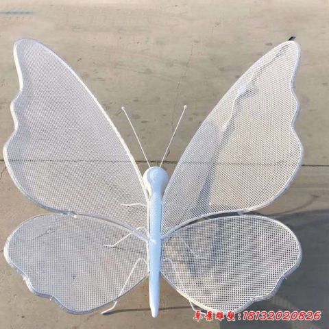 镂空编织蝴蝶动物