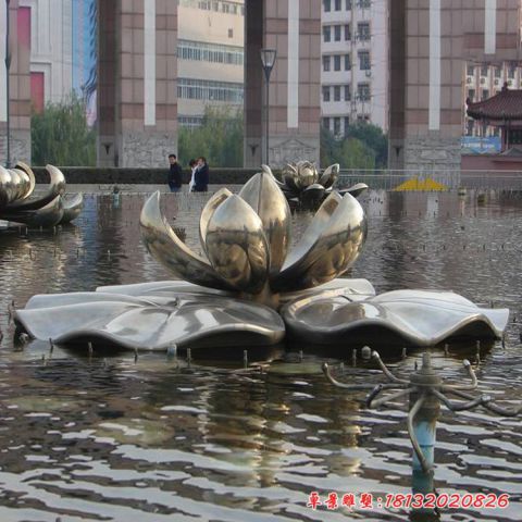 荷花景观
