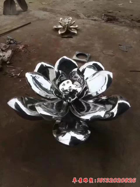 荷花景观