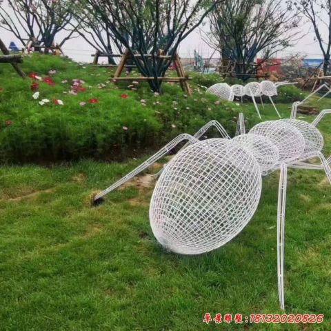 镂空编织蚂蚁