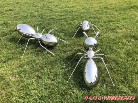 镜面蚂蚁动物