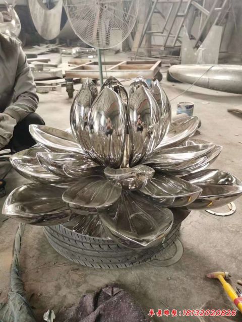 荷花景观