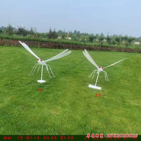镂空蜻蜓动物