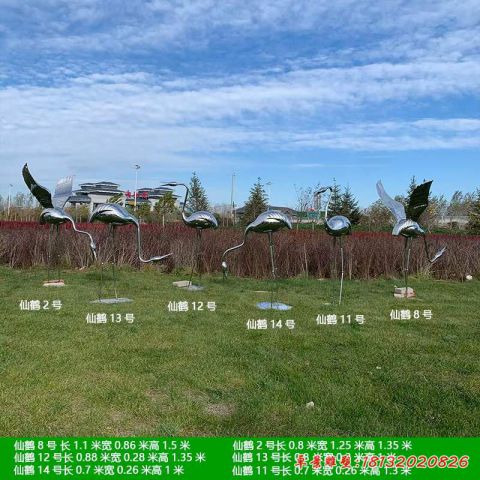 仙鹤动物镜面