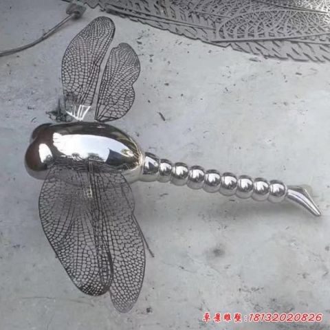 蜻蜓动物