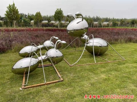蚂蚁镜面动物